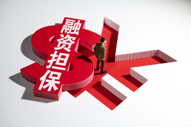 成都市融资再担保有限责任公司