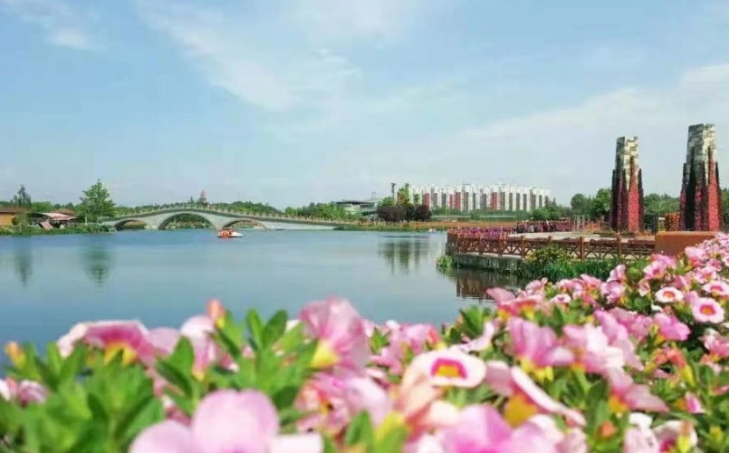 农康文旅